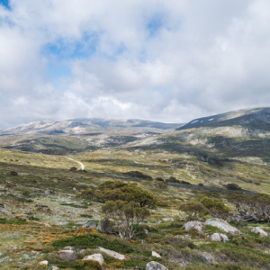Snowy Mountains